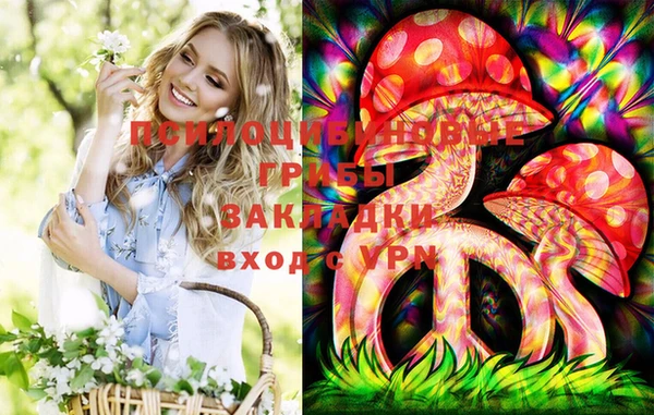 амф Верея