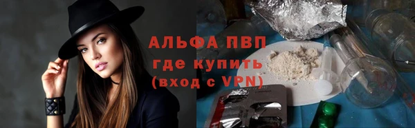 амф Верея