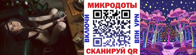 Галлюциногенные грибы Psilocybe Горбатов