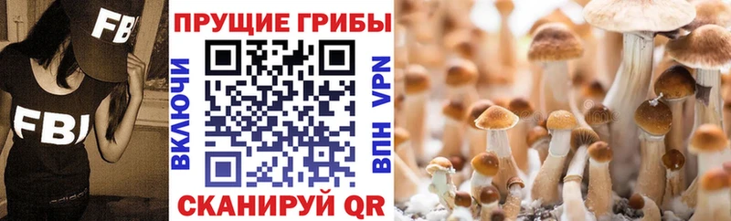 Галлюциногенные грибы мухоморы  как найти закладки  Горбатов 